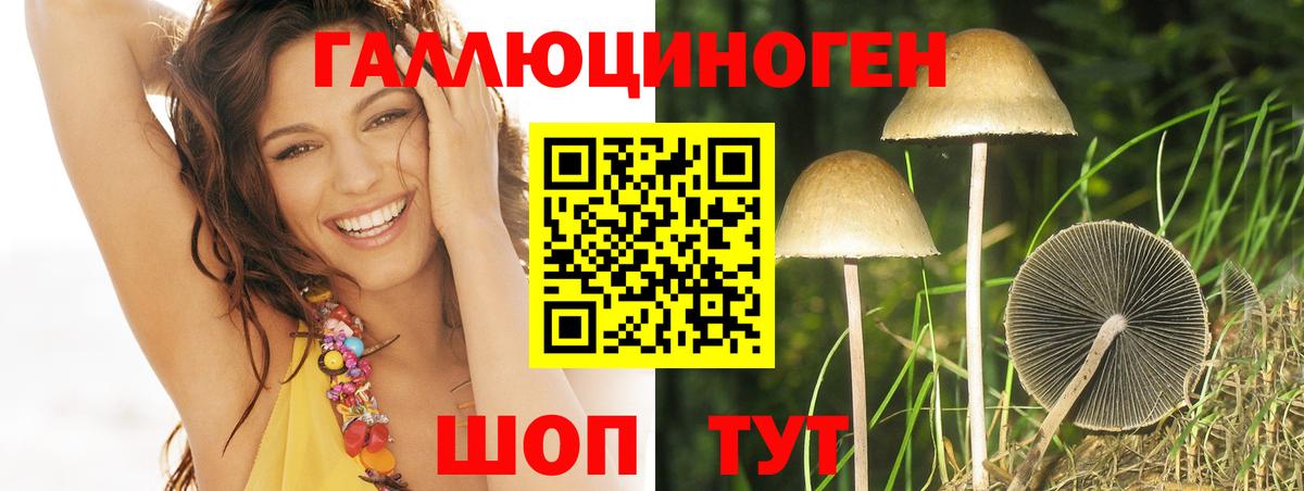 Псилоцибиновые грибы прущие грибы  Вход с VPN  Конаково 